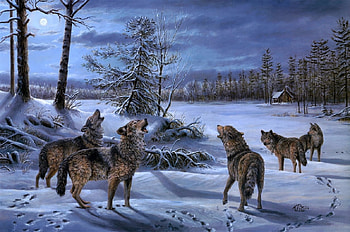 howling, winter, nature, wolves, snow HD wallpaper