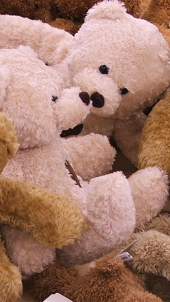 Teddy Bear Ke, Cute, Teddies, toys HD phone wallpaper