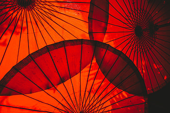 Miscellanea, Miscellaneous, Round, Umbrella HD wallpaper