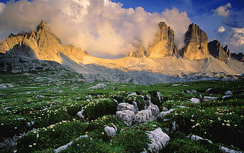 Mountain Wildflowers, grass, rocks, field, clouds, flowers, sky, blooms, mountains, sun HD wallpaper