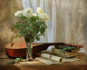 Still life, graphy, art, pretty HD wallpaper