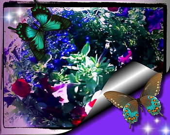 Butterfly Garden, butterflies, flowers, fantasy, 3d HD wallpaper