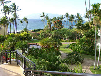 The Shop at Wailea, Maui, hawaii, maui HD wallpaper