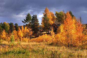 Autumn, , ukhta, russia HD wallpaper