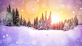 Winter Light, snow, landscape, trees, nature, sun, forest HD wallpaper