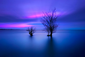 Blue Nature, blue, beautiful, nature HD wallpaper