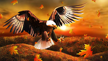 Art, Leaves, Bird, Eagle HD wallpaper