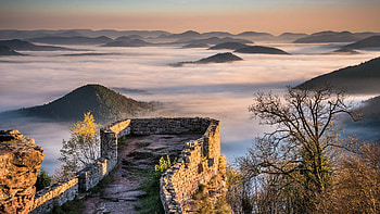 Castle Ruins in Palatinate Forest, Germany, fog, mountains, morning, colors, trees, sky HD wallpaper