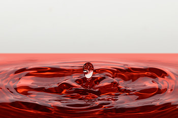 Macro, Splash, Liquid, Drop HD wallpaper