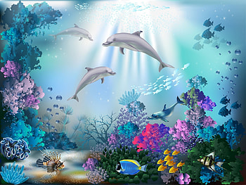 Dolphins Playing, sea, dolphins, playing, three HD wallpaper
