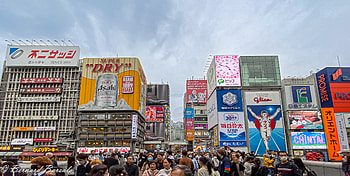 Dotonbori Neon Nights — Osaka, Japan, man made, Japan HD wallpaper