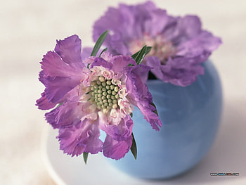 Purple bouquet, purple, still life, bouquet, pretty, flower, nature HD wallpaper