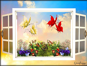 BUTTERFLIES ON THE OUTSIDE, WINDOW, CREATION, BUTTERFLIES, FOUR HD wallpaper