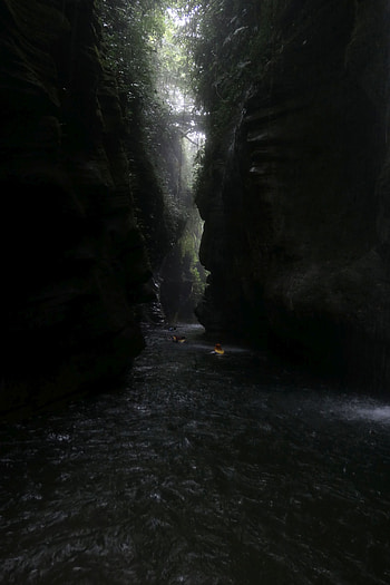 Millennium Cave, Espiritu Santo, Vanuatu, Adventure excursion, Underground wonder HD phone wallpaper