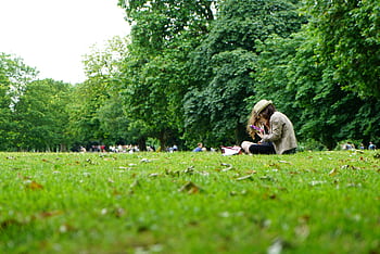 Woman reading in a verdant London park, a perfect serene outdoor scene. HD wallpaper