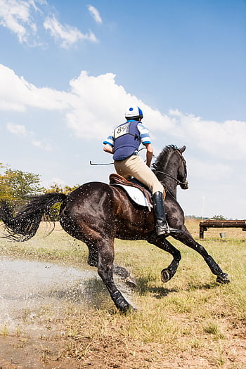 A skilled equestrian rider on a horse jumping over a water obstacle during a competition, showcasing speed and agility. HD phone wallpaper