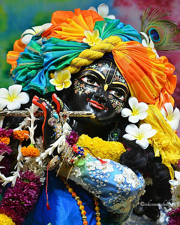 Hare krishna, art, petal HD phone wallpaper