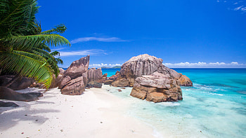 Blue safari experiences, Marine wildlife, Underwater wonders, Diving adventures HD wallpaper