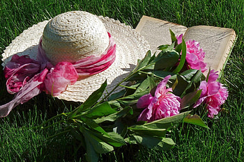 Peonies, book, flower, peonie, nature, grass, hat HD wallpaper