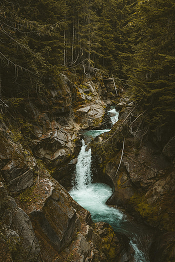 Nature, Trees, Stones, Waterfall, Branches, Flow, Stream HD phone wallpaper