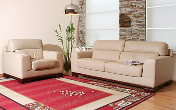 Flowers, Interior, Miscellanea, Miscellaneous, Sofa, Carpet HD wallpaper