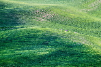Expansive view of vibrant green rolling hills showcasing natural beauty and serenity. HD wallpaper
