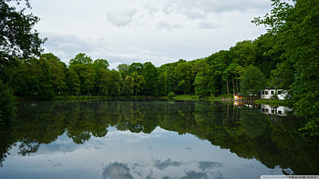 Peace..., Lake, Calm, Peaceful, Trees HD wallpaper