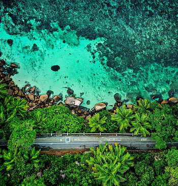 Nature, Stones, Palms, View From Above, Coast, Road HD phone wallpaper