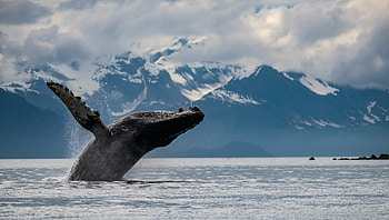 Glacier Bay National Park, Water exploration HD wallpaper