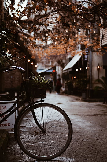 A vintage bicycle parked on a dimly lit urban street with fall leaves. HD phone wallpaper
