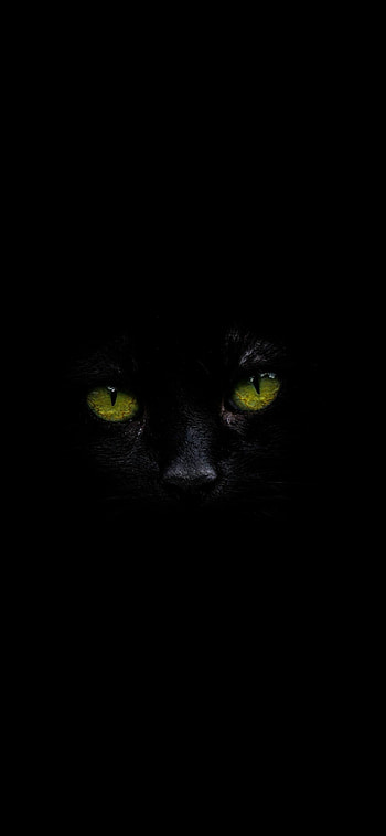 Mysterious black cat, Mesmerizing green eyes, Captivating HD phone wallpaper