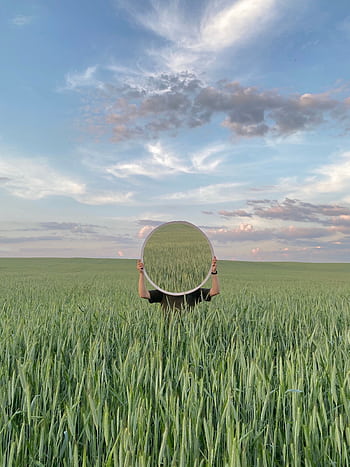 A mirror reflecting the vast, serene wheat field under a cloudy sky, creating a surreal and peaceful scene. HD phone wallpaper