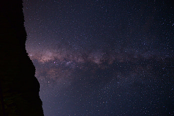 Stars, Night, Dark, Forest, Starry Sky HD wallpaper