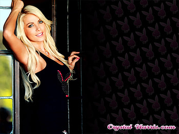 Crystal Harris, 01, crystal, 2011, 10, harris HD wallpaper