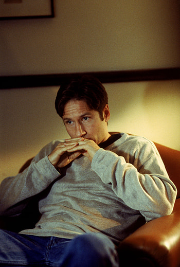 David Duchovny, , , Stmednet HD phone wallpaper