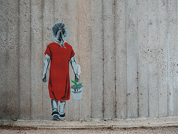 Art, Flower, Wall, Girl, Graffiti, Street Art, Bucket HD wallpaper