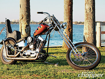 The Weed Steed, bike, , 69, chopper HD wallpaper