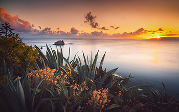 Sea Sunset, sky, Nature, Sunset, Sea HD wallpaper