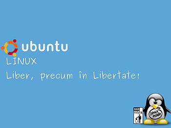 romanian text ubuntu dom, dom, penguin, romanian, ubuntu HD wallpaper