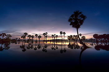 Beautiful twilight scene with palm trees reflecting in water, creating a peaceful silhouette. HD wallpaper