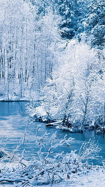 Winter Background, Cold, Winter HD phone wallpaper