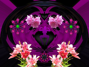 Pink & Black II, eye candy, abstract, 3d, fractal, collage HD wallpaper
