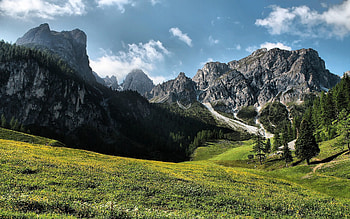 Landscape, Nature, Mountains, Summer, Polyana, Glade, Day HD wallpaper