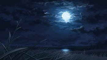 Quiet night, Field, Night, Clouds, Moon HD wallpaper