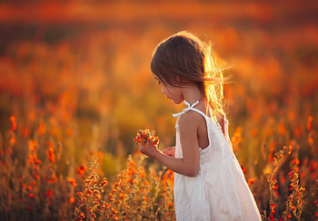 little girl, childhood, blonde, graphy, cute, baby, fair, beauty, nice, Nexus, flower, kid, adorable, bonny, sweet, white, Belle, Fields, girl, beautiful, people, little, comely, pink, Fun, sightly, pretty, face, nature, lovely, dainty, pure, child HD wallpaper