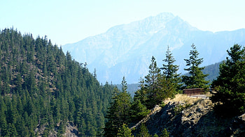 Diablo Overlook, gorge, washington, trees, , mountains HD wallpaper