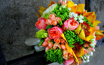 Flower Bouquet, Flowers bouquet , Gorgeous blooms, Nature's beauty HD wallpaper