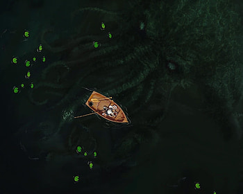 Sea monster, josh foster, boat, sea, monster, dark, view from the top, summer, fantasy, green, creature, vara HD wallpaper