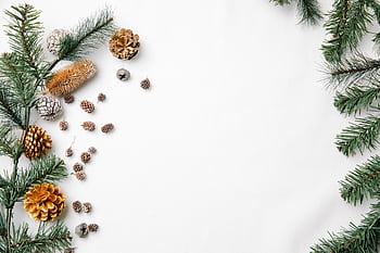 Flat lay of fir branches and pine cones on a white background, perfect for Christmas. HD wallpaper