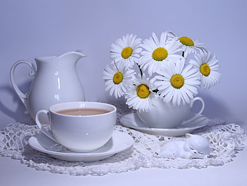 White chamomile, White, Coffee, Cup, Chamomile HD wallpaper